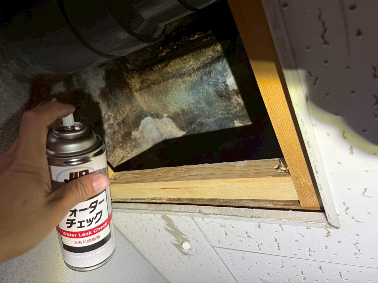 天井裏の雨染みと断熱材の劣化状況の確認写真