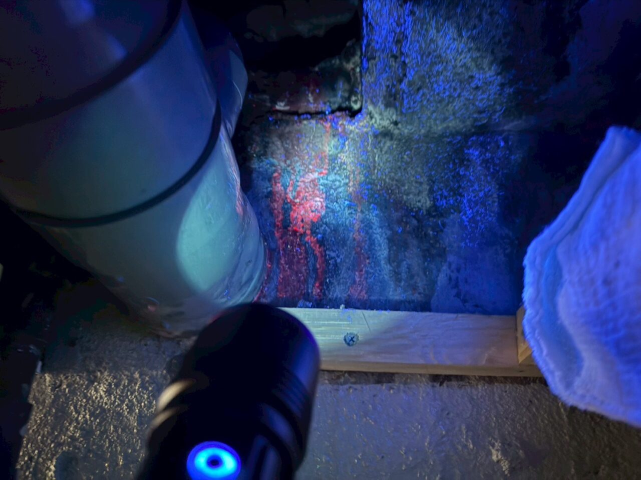 給水管周辺に青色試薬を散布し、光を当てて漏水箇所を特定する様子