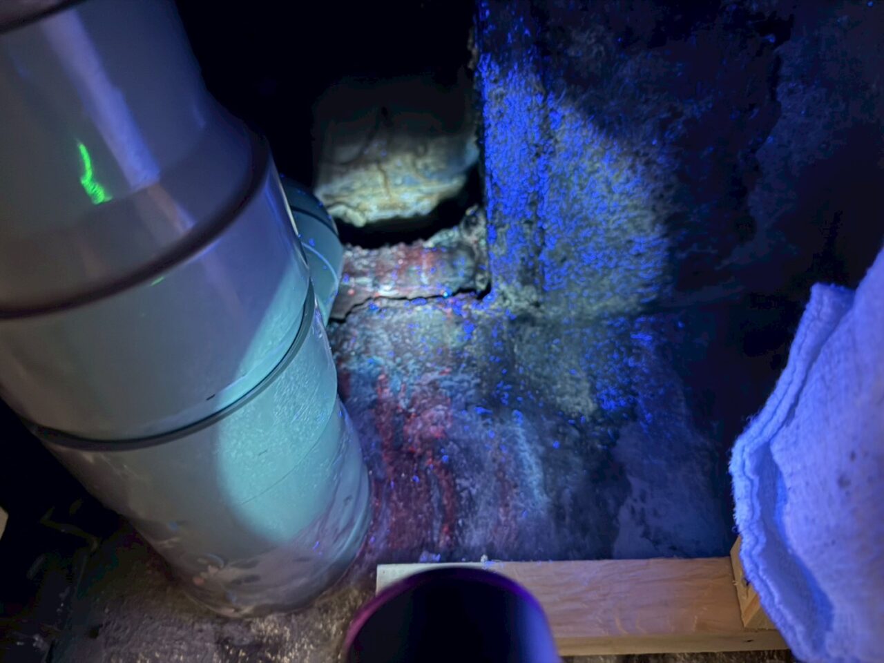 給水管周辺に青色試薬を散布し、光を当てて漏水箇所を特定する様子
