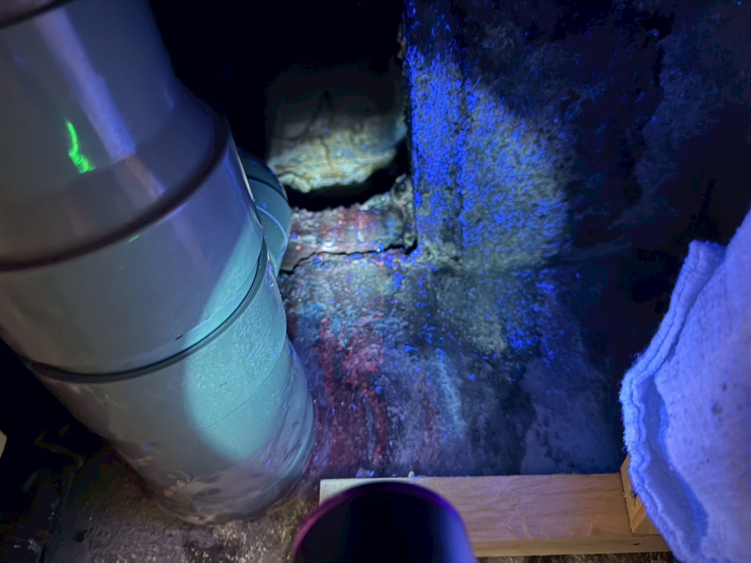 給水管周辺に青色試薬を散布し、光を当てて漏水箇所を特定する様子